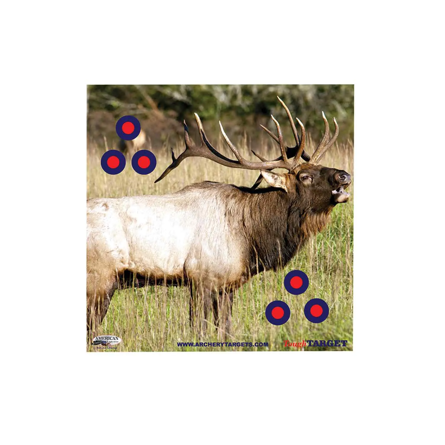 American Whitetail Tough Target Face (32"x32")