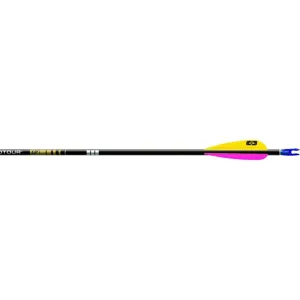 Easton X10 Protour Arrows x12